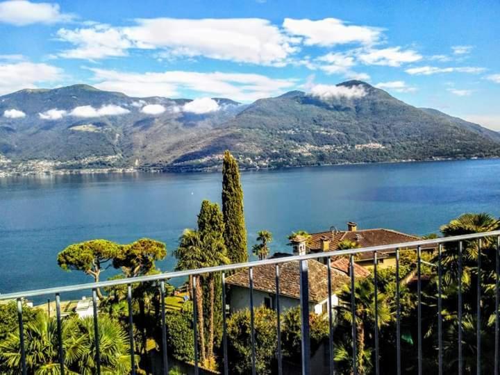 Residence Venus Garden Brissago Esterno foto