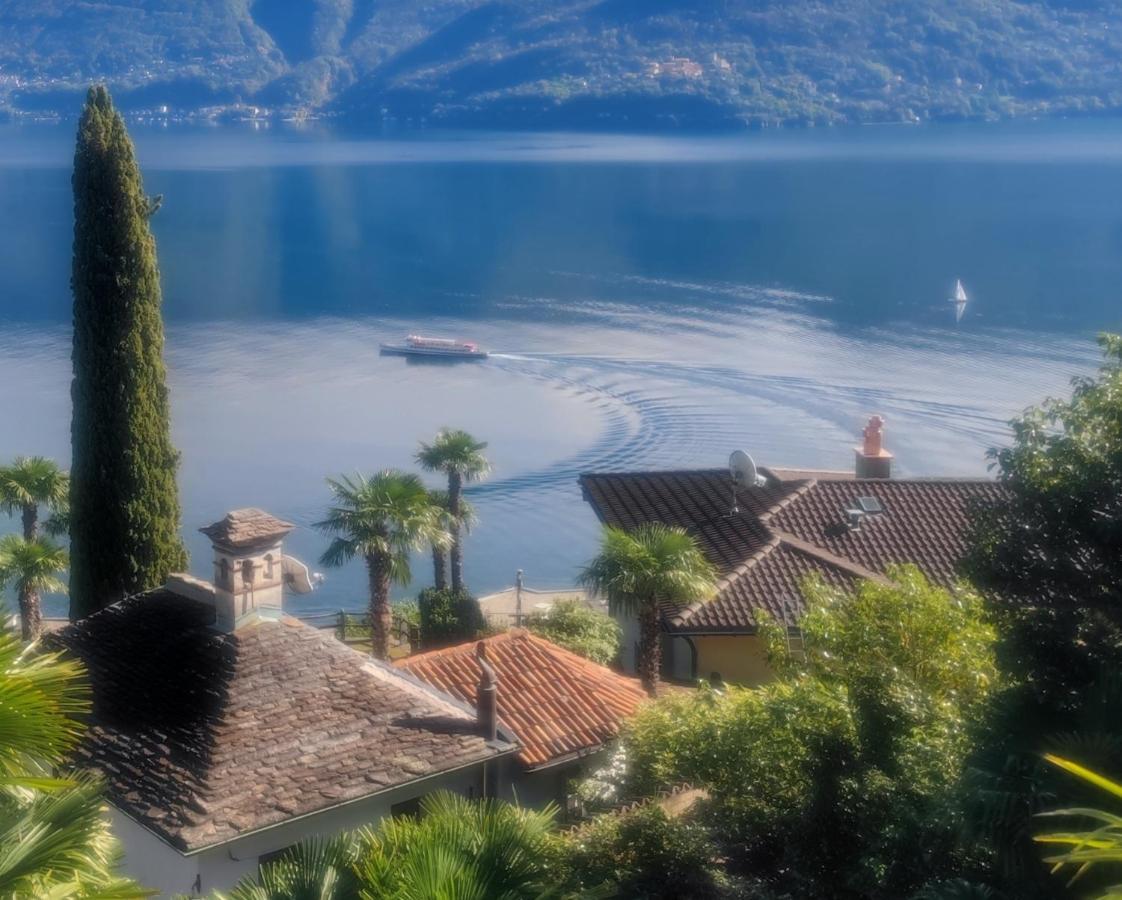 Residence Venus Garden Brissago Esterno foto