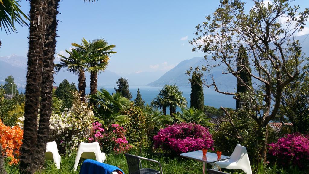 Residence Venus Garden Brissago Esterno foto