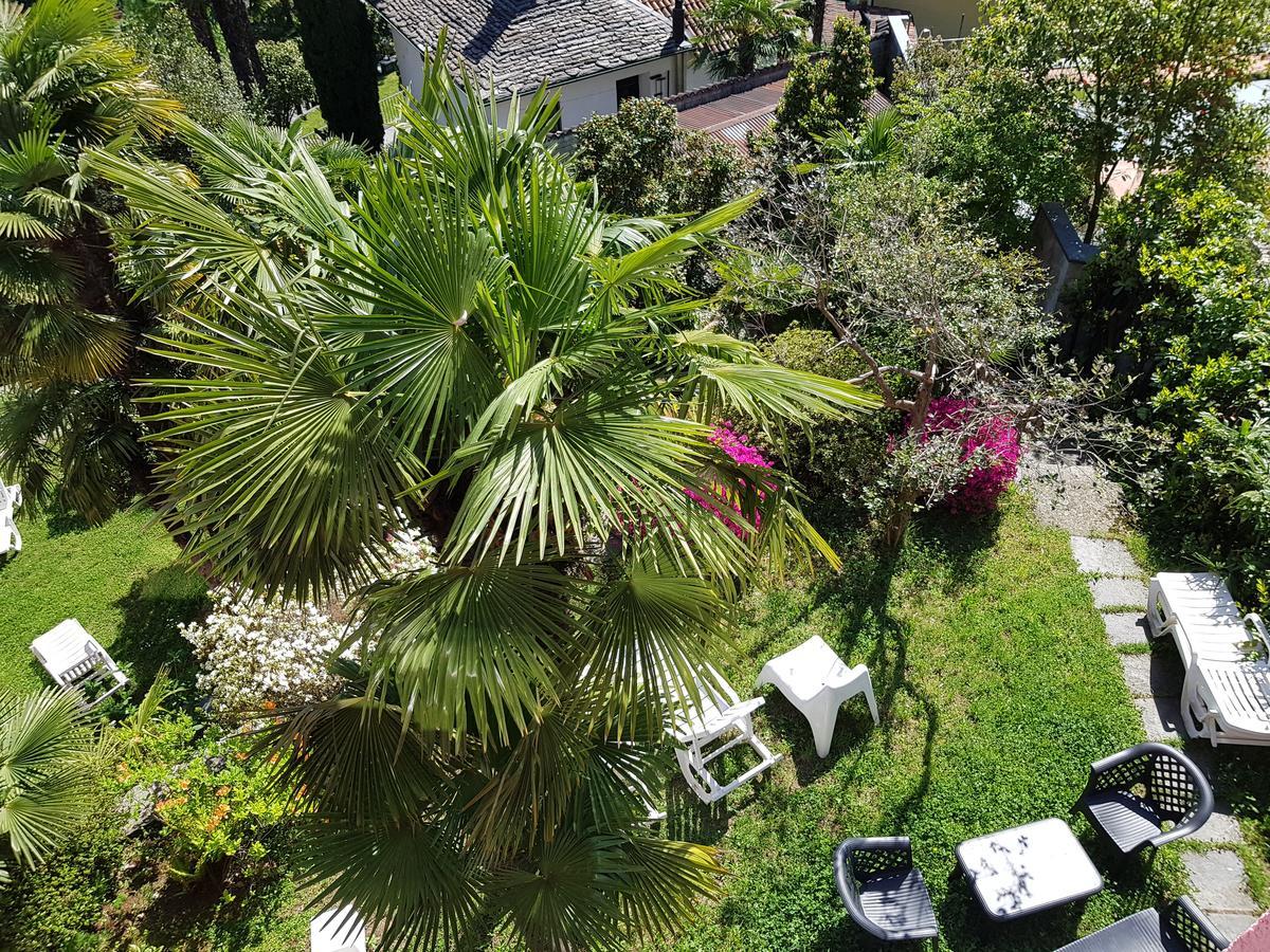 Residence Venus Garden Brissago Esterno foto